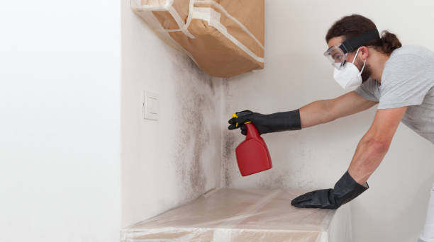 Professional Attic Mold Remediation technician working in Willernie, MN