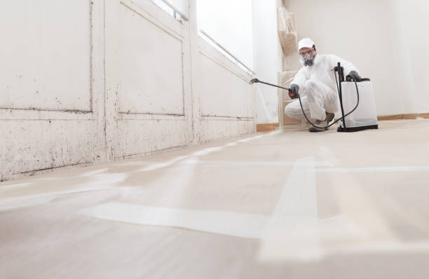 24/7 Emergency Attic Mold Remediation experts in Willernie, MN